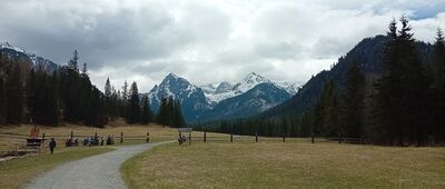 Bielovodská poľana ↔ Lysá Poľana