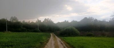 Kryspinów ↔ Las Wolski, Mokry Dół