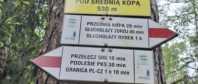 Przełęcz 505 ↔ Przednia Kopa