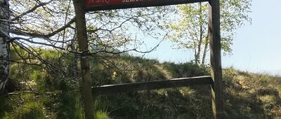 Rozejście szlaków ↔ Rozejście szlaków