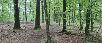 Olszak ↔ Pokrzywna, ośrodek wypoczynkowy