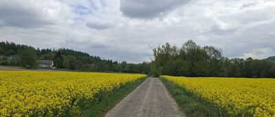 Wieszczyna, droga ↔ Pokrzywna, ośrodek wypoczynkowy