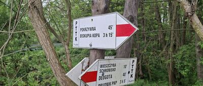 Wieszczyna, droga