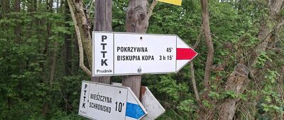 Wieszczyna, droga
