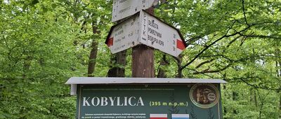 Rozejście szlaków
