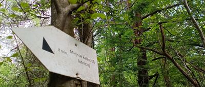 Kapliczka przy szlaku na Diabelski Kamień ↔ Diabelski Kamień
