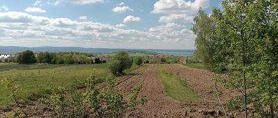 Wymyślona