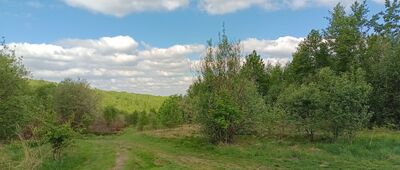 Pod Wymyśloną