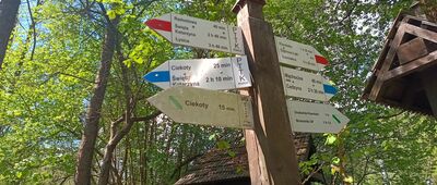 Radostowa, rozejście szlaków