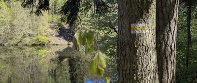 Wadąg ↔ Olsztyn, szpital [Najciekawszy fragment szlaku]