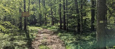 Leśny Park Linowy ↔ Wadąg [Tablica z informacją o wstępie wzbronionym. Podejrzewam, że odnosi się do samej drogi, ale ogrodzonego terenu po prawej stronie.]
