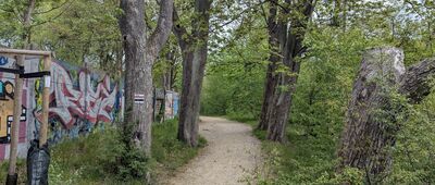 Olsztyn, Most Młyński ↔ Łynostrada [Szlak początkowo pokrywa się ze Szlakiem Kopernikowskim]