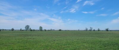 Sieczychy, Zagórze ↔ Porządzie