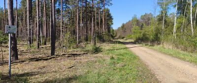 Rozejście ścieżki ↔ Bagna Błędowskie, Biała Przemsza [Przystanek 3 Ścieżki Edukacyjnej]