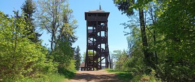 Pod Dzikowcem ↔ Dzikowiec, kolej linowa