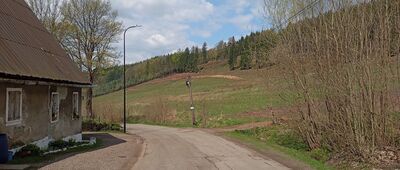 Pstrążna, rozwidlenie