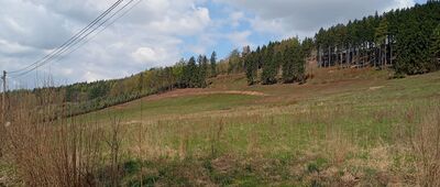 Pstrążna, rozwidlenie