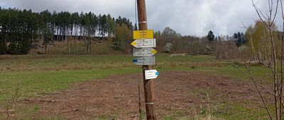 Pstrążna, rozwidlenie
