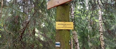 Niedźwiadki