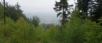 Wołowiec [Widok z Wołowca w kierunku stacji PKP Wałbrzych Główny]