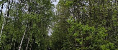 Barania Góra ↔ Porzecze