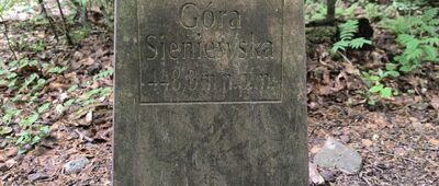 Góra Siniewska