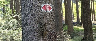Rozejście szlaków ↔ Harcerska baza namiotowa w Strużnicy