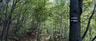 Przełęcz pod Średnicą ↔ Przełęcz pod Brzeźnikiem