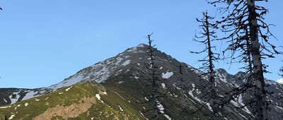 Psia Trawka ↔ Murowaniec, odejście szlaku czarnego [Widok na Żółtą Turnię (2087 m n.p.m.) z Hali Gąsienicowej]