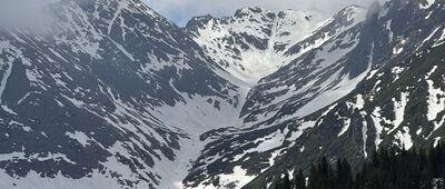 Gęsia Szyja [Widok z Gęsiej Szyi na Wielki Wołoszyn (2155 m n.p.m.)]