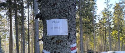 Rozejście pod Brożkami ↔ Cyl Hali Śmietanowej
