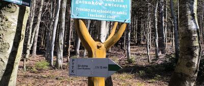 Hala Krupowa