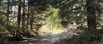 Trigan ↔ Štrbské Pleso, rázcestie pred Heliosom