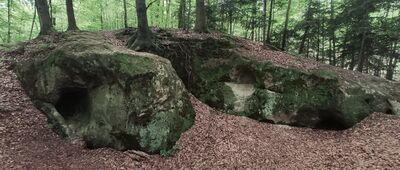 Jaszczurowa, Pniaki ↔ Wielopole Skrzyńskie