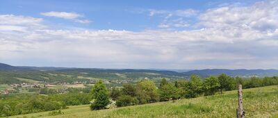Kota nad Gogołowem