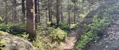 Junácká vyhlídka, odbočka ↔ Pánův kříž