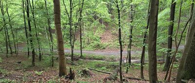 Rozejście szlaków ↔ Rozejście szlaków