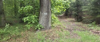 Rozejście szlaków