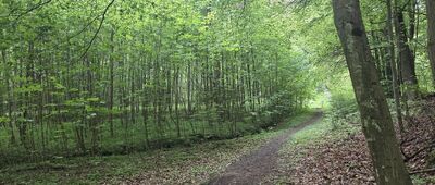 Rozejście szlaków ↔ Rozejście szlaków