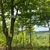 Boracza 600 m n.p.m.