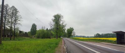 Haćki ["stara" S19]