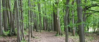 Rozejście szlaków ↔ Pod Ratajem [Pod Ratajem]