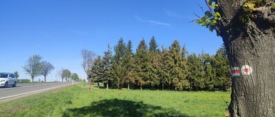 Gołoszyce, przystanek