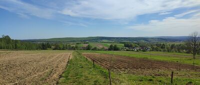 Podlesie, granica parku narodowego ↔ Huta Szklana, granica parku narodowego [Drogosiowa]