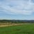 Bieliny