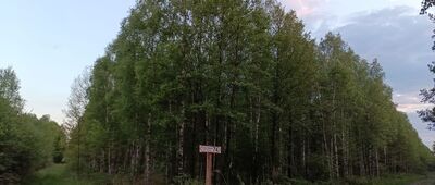 Rozejście szlaków żółty / czarny ↔ Rudno
