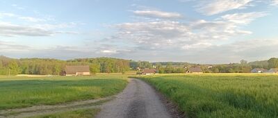 Sierakowice, ul. Rachowicka