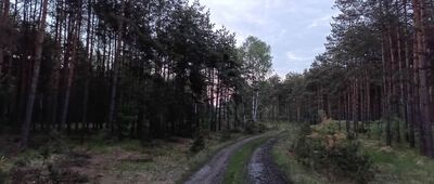 Rozejście szlaków ↔ Rozejście szlaków