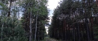 Rozejście szlaków