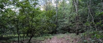 Nad Pierunkowym Dołem ↔ Pańskie Kąty